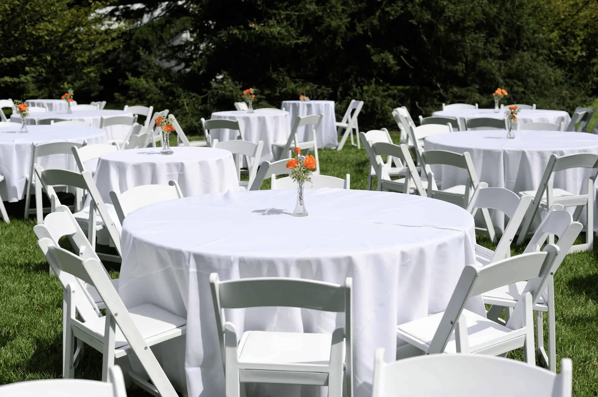 party image